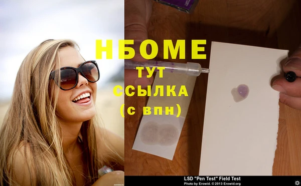 стафф Дмитров