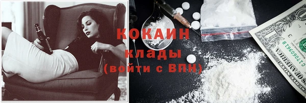 стафф Дмитриев