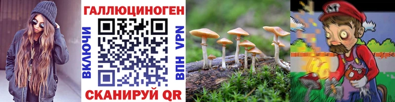 Псилоцибиновые грибы прущие грибы  Томск 
